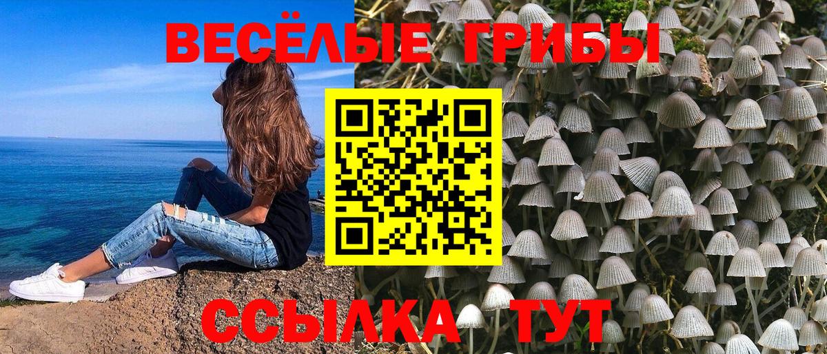 Кимовск  Псилоцибиновые грибы MAGIC MUSHROOMS  где найти наркотики  Вход с VPN 